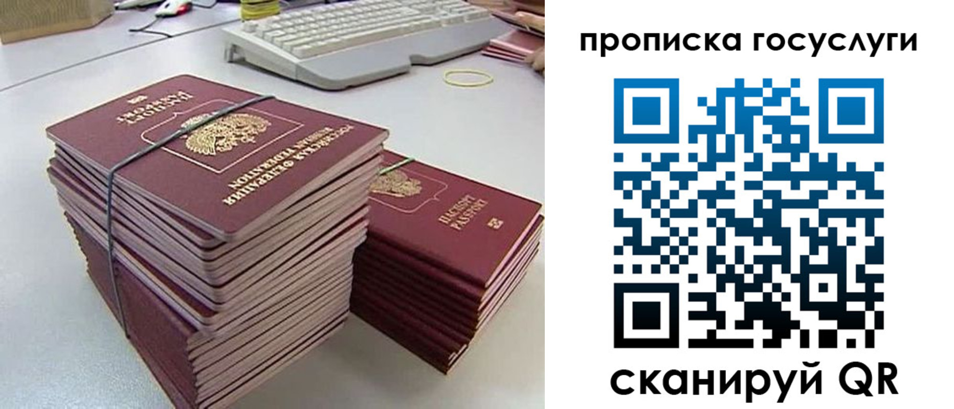 временная регистрация для школы в Калининградской области